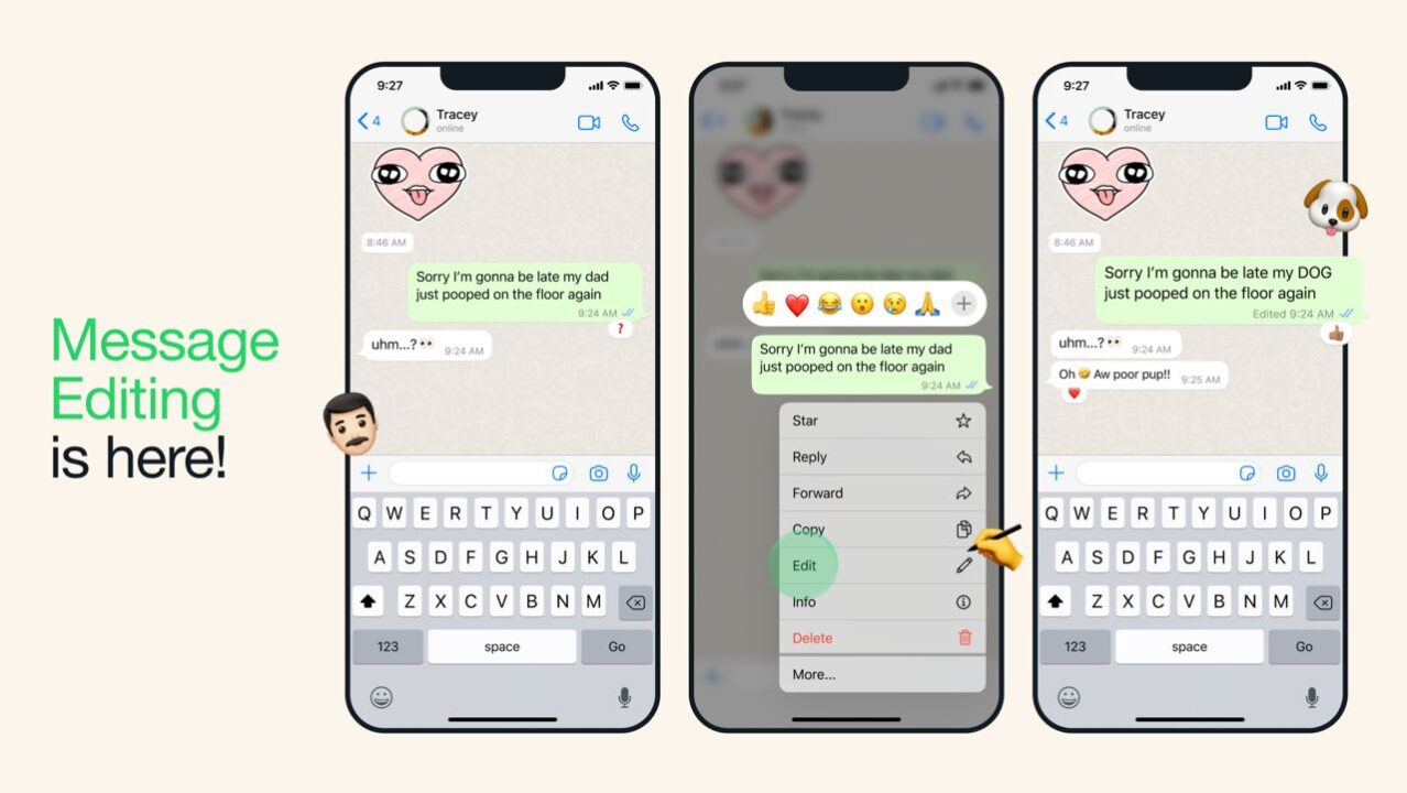 Fitur Edit Pesan di WhatsApp Akan Segera Dirilis!